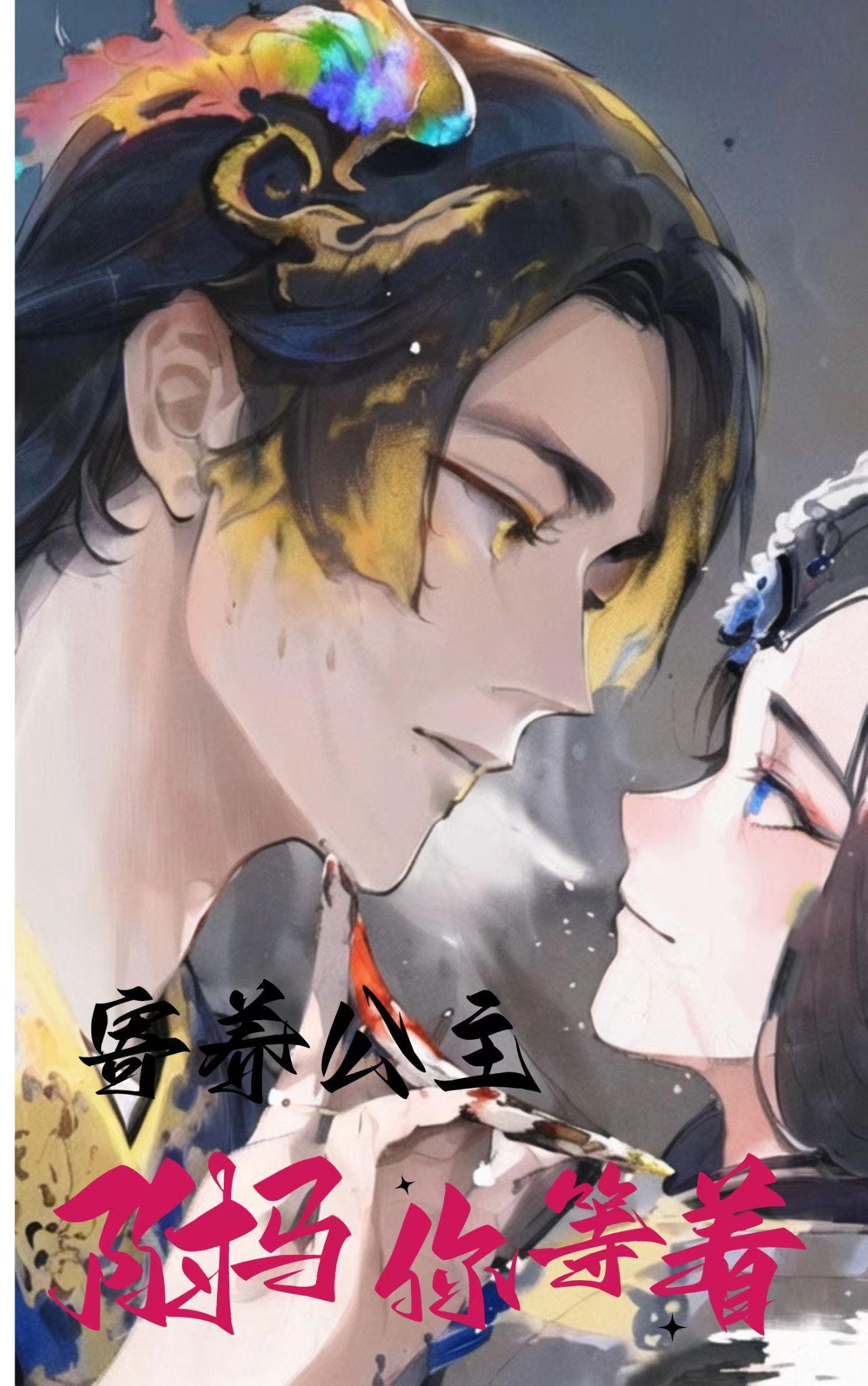 公主的驸马