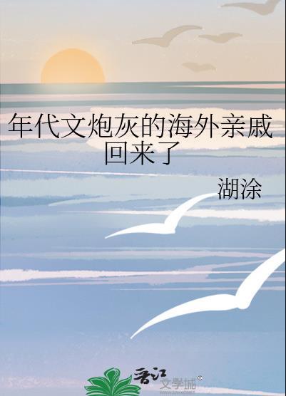 年代文炮灰的海外亲戚回来了原名